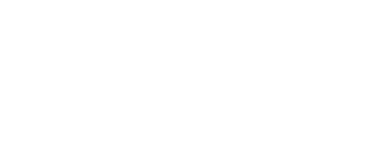 Viseeon - INTERNATIONAL NETWORK OF ACCOUNTANTS - JOIN VISEEON - MLM